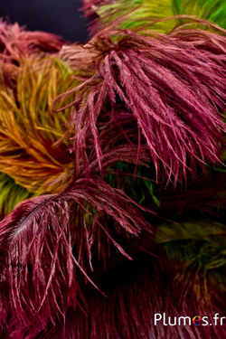 Struisvogel - 35-40 cm - azteeks goud Herfst